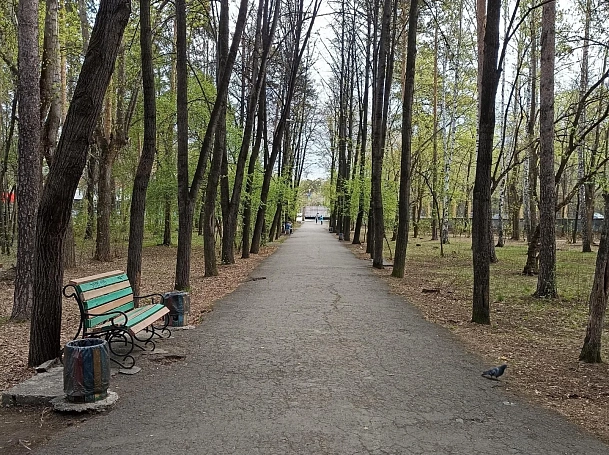 Летний парк «Уралмаш» в Екатеринбурге передали ЦПКиО Маяковского